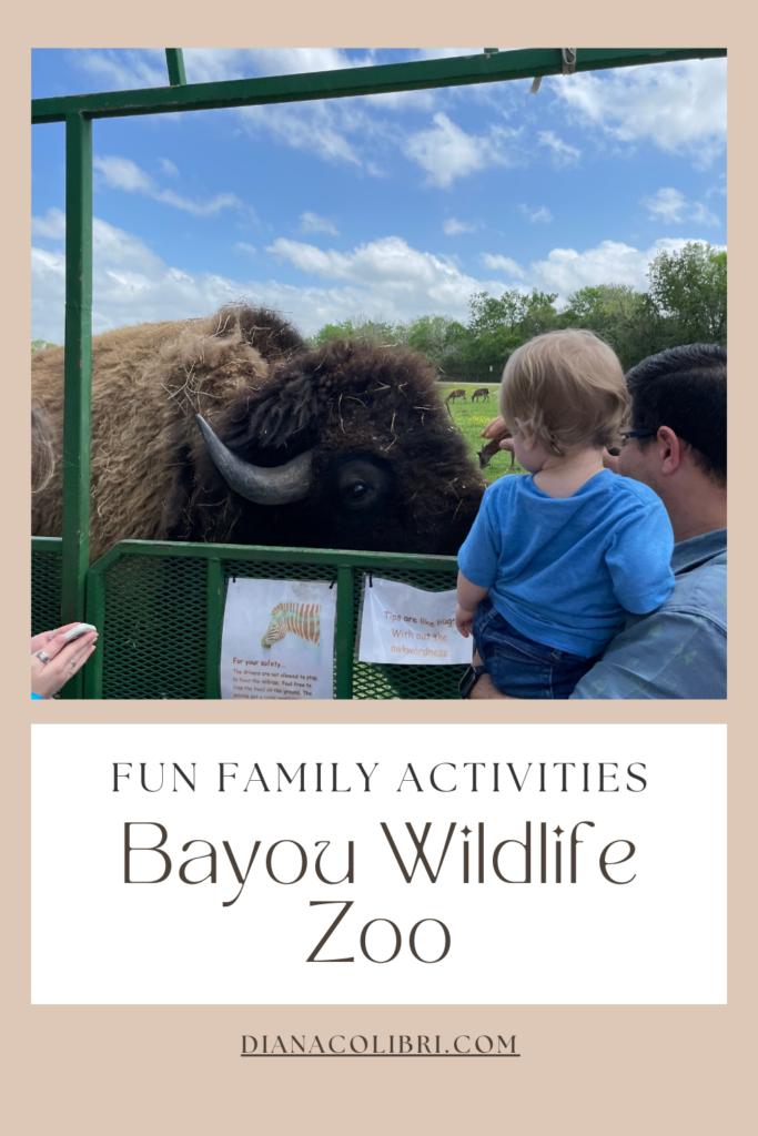 Fun Family Activities Near Houston – Bayou Wildlife Zoo