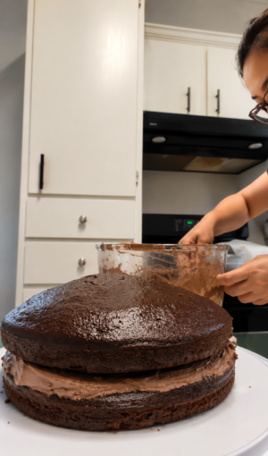 chocolate cake double layer cake